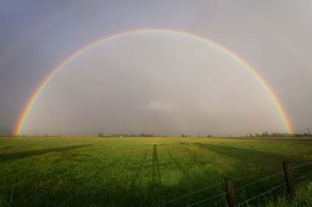 Feld über dem ein Regenbogen ist